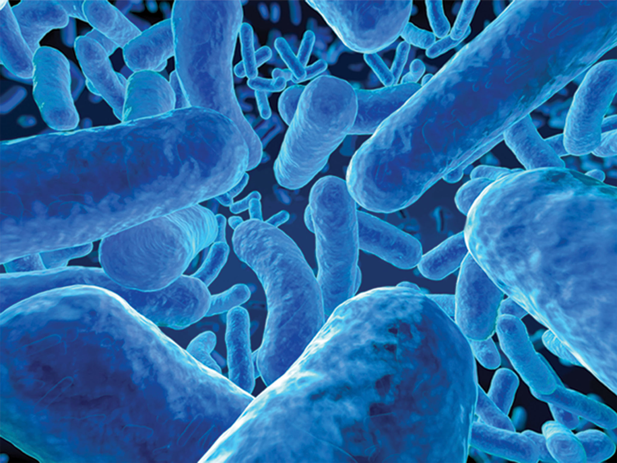 Микробиологические на аэробные микроорганизмы. Красивые бактерии. Бактерии фон. Микроорганизмы фон. Синие бактерии.